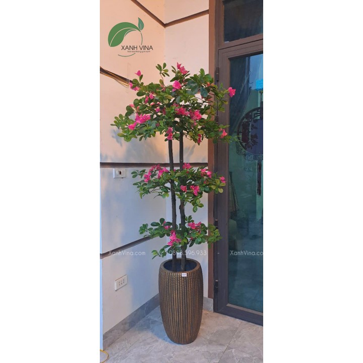 cây hoa đỗ quyên giả đẹp giống thật trang trí 